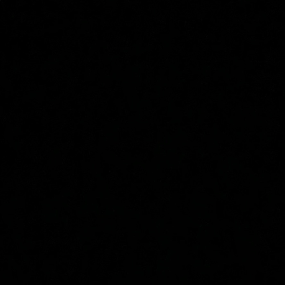 Meet your Posher, Rae